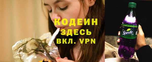 spice Арсеньев