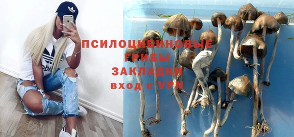 spice Арсеньев