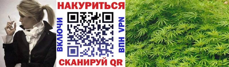 закладка  Озёрск  Шишки марихуана SATIVA & INDICA 